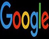 Google Bra (Female)