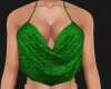 Sparkle Green Top