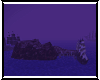 Seawolves Pirate Isles