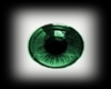 (Eli)Eyes Green