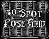 WS ~ 10 Spot Grid