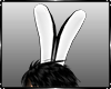 Bunny Ears M