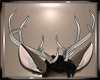 Rhykard Antlers