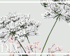 Face Planter 02