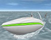 Speed Boat & Water Ski