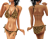 RR Leopard Print Bikini