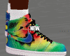 RAINBOW DUNKS