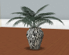 [JS]Zebra Vase Palm