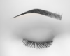Black Brows