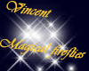 ~Vin~Magical fireflies~