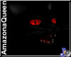 )o( Evil Black Cat