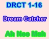 Ah Nee Mah-Dream Catcher