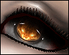*C Dark.Sun~M
