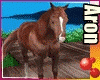 ► Horse