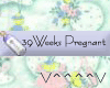 39 Weeks Pregnant (b)