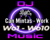 Can Mintas - Work Remix