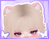 ʚɞ Bear Ears Cream
