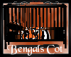 -A- Bengals Cot