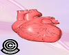 Real Animated Heart