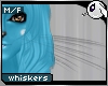 ~Dc) SoM Whiskers Black