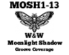 W&W Moonlight Shadow