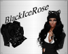 [BIR]Cat- Black