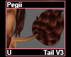 Pegii Tail V3