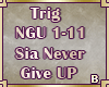 [B]Sia Never Give Up