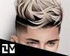 . TROY OMBRE