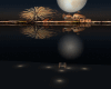 venezia  in festa