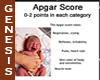 Apgar Score Wall Chart