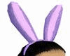 SM Lav Bunny ears