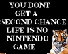 Life Is No Nintendo Game