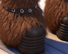 alpha howl boots