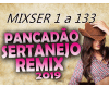 Remix  Sertanejo 2019