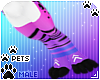[Pets] Ari | abless legs
