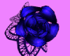 Blue Rose Lace