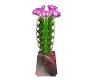 Pretty Pink Cactus