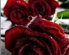 Dark red roses