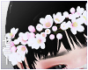 Z. Sakura Crown