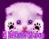 Miss You Kitten