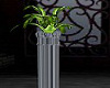 grey pedestal plant