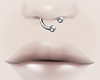 septum