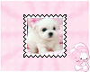{E}CutePuppy_Stamp