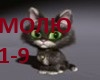 sizhom-molju