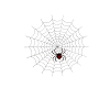 Spider Web