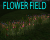 FLOWER GARDEN/FIELD