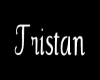 Tristan collar (M)