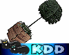 KDD Planter