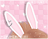 🐾 Bunny Ears Pinku